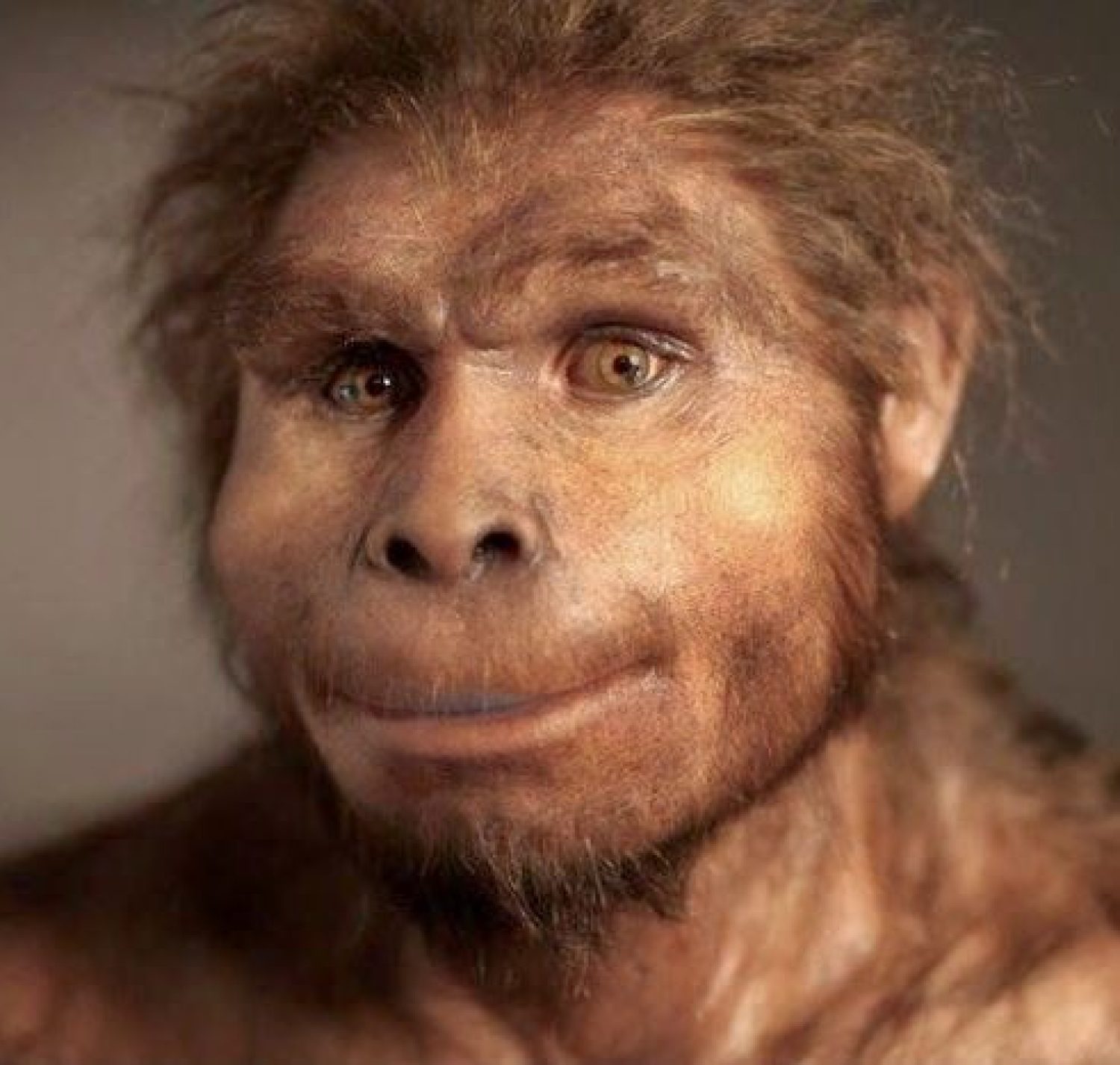 8f8b2d22b30d52fa51e1bb6776ec990f